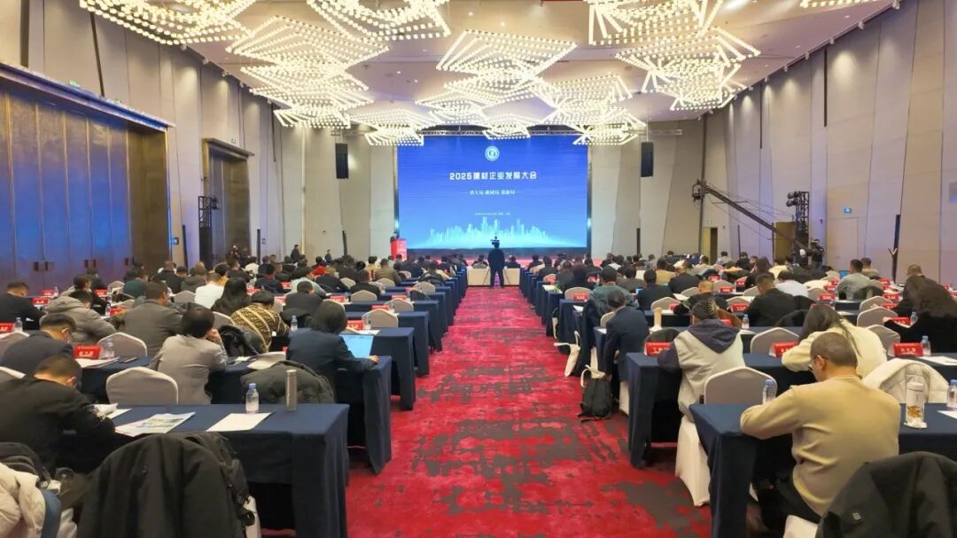 荣膺双五星企业，荣登行业前五