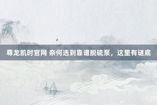 尊龙凯时官网 奈何选到靠谱脱硫泵，这里有谜底