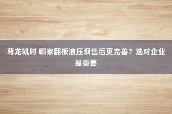 尊龙凯时 哪家翻板液压坝售后更完善？选对企业是重要