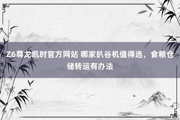 Z6尊龙凯时官方网站 哪家扒谷机值得选，食粮仓储转运有办法