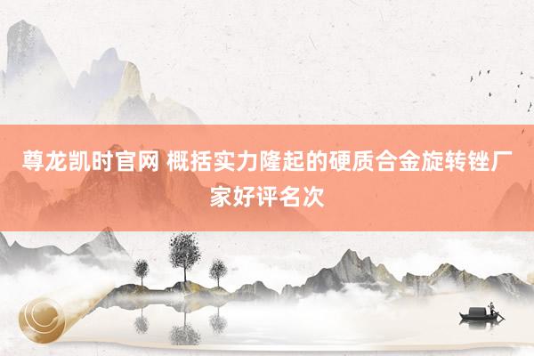 尊龙凯时官网 概括实力隆起的硬质合金旋转锉厂家好评名次