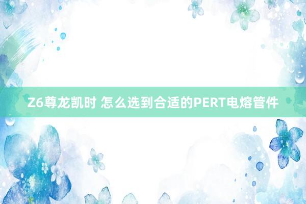 Z6尊龙凯时 怎么选到合适的PERT电熔管件