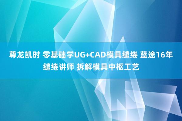 尊龙凯时 零基础学UG+CAD模具缱绻 蓝途16年缱绻讲师 拆解模具中枢工艺