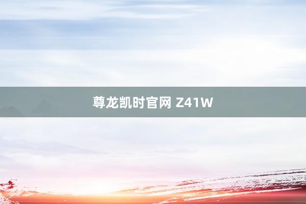 尊龙凯时官网 Z41W