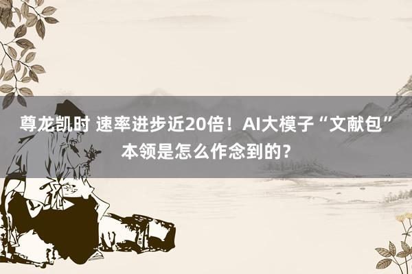尊龙凯时 速率进步近20倍！AI大模子“文献包”本领是怎么作念到的？