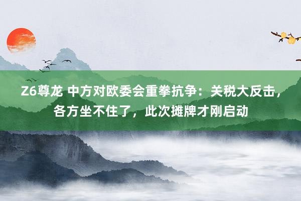 Z6尊龙 中方对欧委会重拳抗争：关税大反击，各方坐不住了，此次摊牌才刚启动