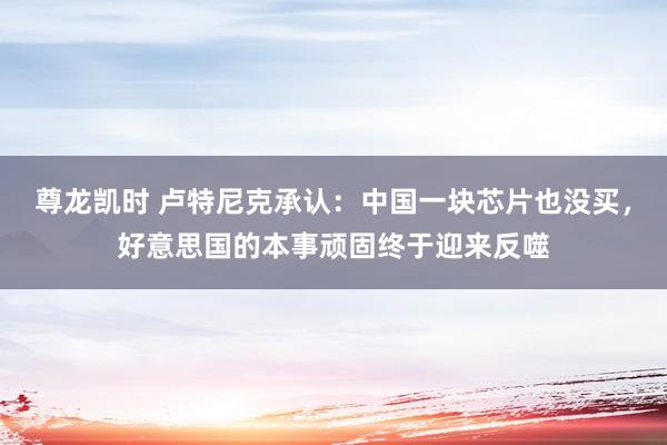 尊龙凯时 卢特尼克承认：中国一块芯片也没买，好意思国的本事顽固终于迎来反噬