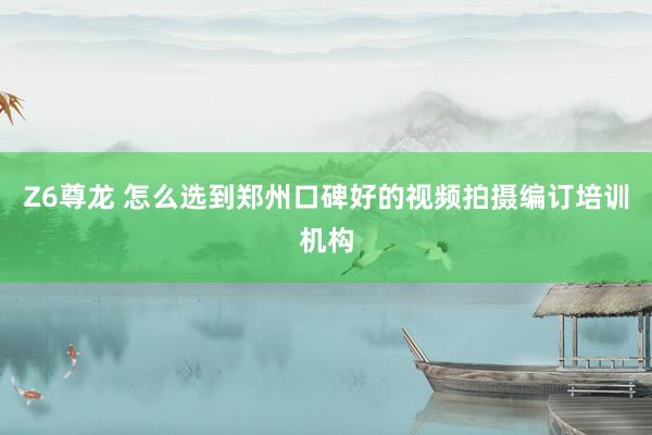 Z6尊龙 怎么选到郑州口碑好的视频拍摄编订培训机构