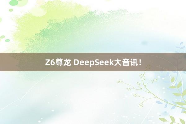 Z6尊龙 DeepSeek大音讯！