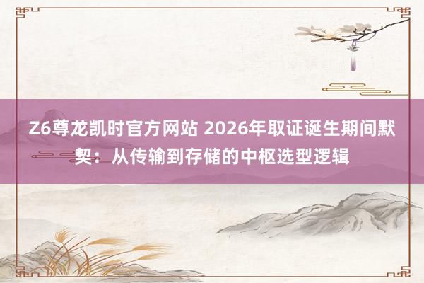 Z6尊龙凯时官方网站 2026年取证诞生期间默契：从传输到存储的中枢选型逻辑