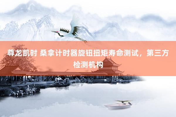 尊龙凯时 桑拿计时器旋钮扭矩寿命测试，第三方检测机构