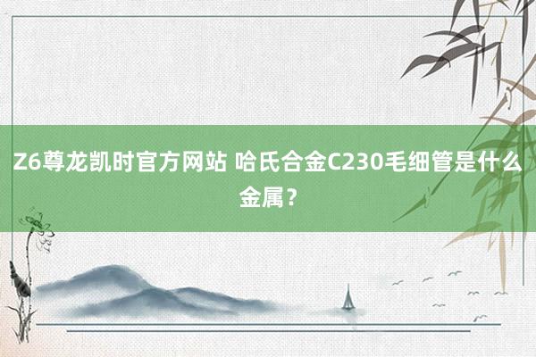 Z6尊龙凯时官方网站 哈氏合金C230毛细管是什么金属？