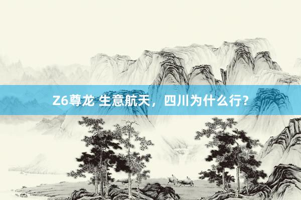 Z6尊龙 生意航天，四川为什么行？