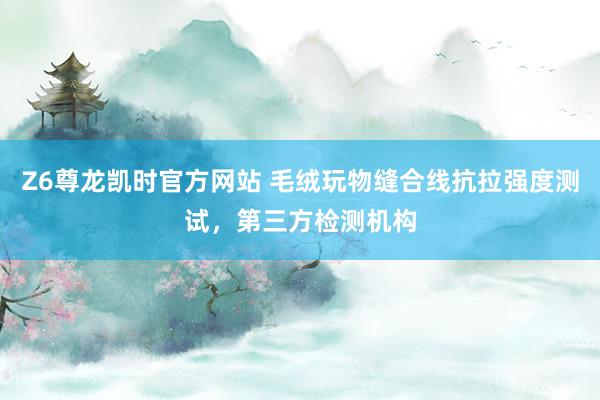 Z6尊龙凯时官方网站 毛绒玩物缝合线抗拉强度测试，第三方检测机构