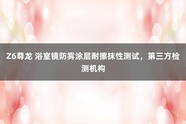 Z6尊龙 浴室镜防雾涂层耐擦抹性测试，第三方检测机构