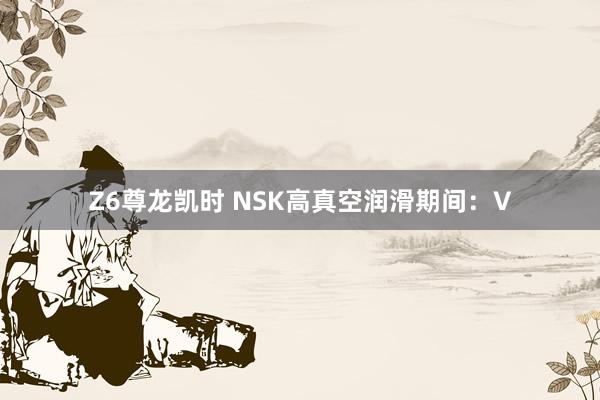 Z6尊龙凯时 NSK高真空润滑期间：V