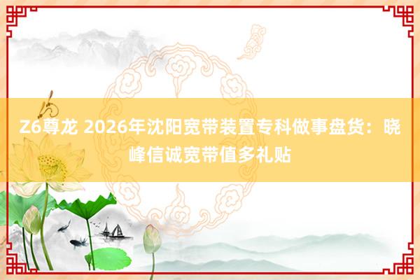 Z6尊龙 2026年沈阳宽带装置专科做事盘货：晓峰信诚宽带值多礼贴