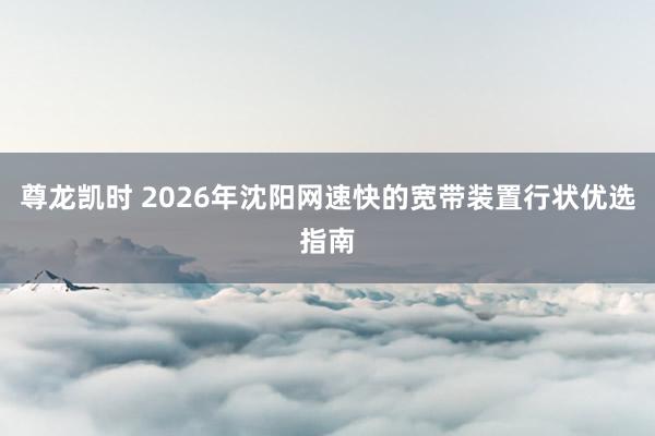 尊龙凯时 2026年沈阳网速快的宽带装置行状优选指南