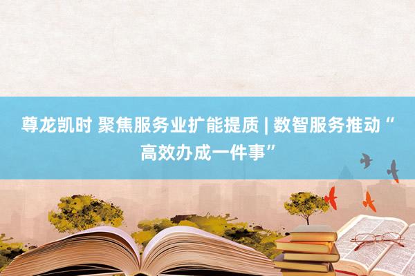 尊龙凯时 聚焦服务业扩能提质 | 数智服务推动“高效办成一件事”
