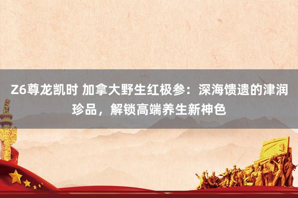 Z6尊龙凯时 加拿大野生红极参：深海馈遗的津润珍品，解锁高端养生新神色