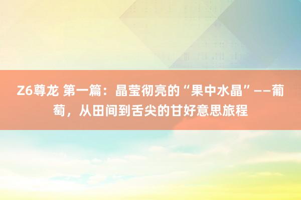Z6尊龙 第一篇：晶莹彻亮的“果中水晶”——葡萄，从田间到舌尖的甘好意思旅程