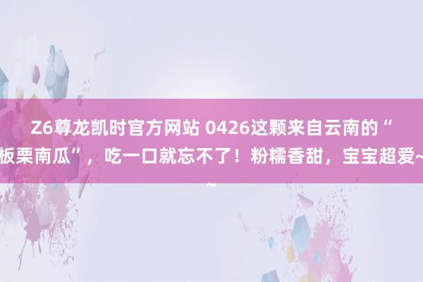 Z6尊龙凯时官方网站 0426这颗来自云南的“板栗南瓜”，吃一口就忘不了！粉糯香甜，宝宝超爱~