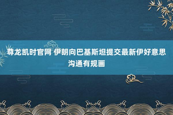 尊龙凯时官网 伊朗向巴基斯坦提交最新伊好意思沟通有规画