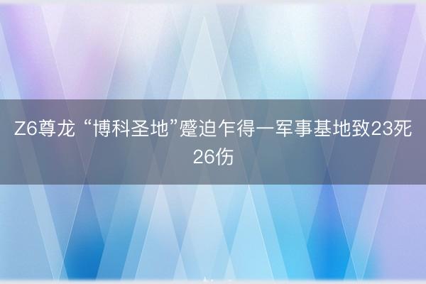 Z6尊龙 “博科圣地”蹙迫乍得一军事基地致23死26伤