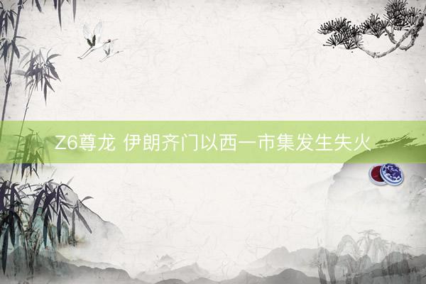 Z6尊龙 伊朗齐门以西一市集发生失火