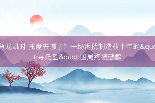 尊龙凯时 托盘去哪了？一场困扰制造业十年的"寻托盘"困局终被破解