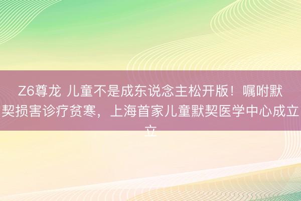 Z6尊龙 儿童不是成东说念主松开版！嘱咐默契损害诊疗贫寒，上海首家儿童默契医学中心成立