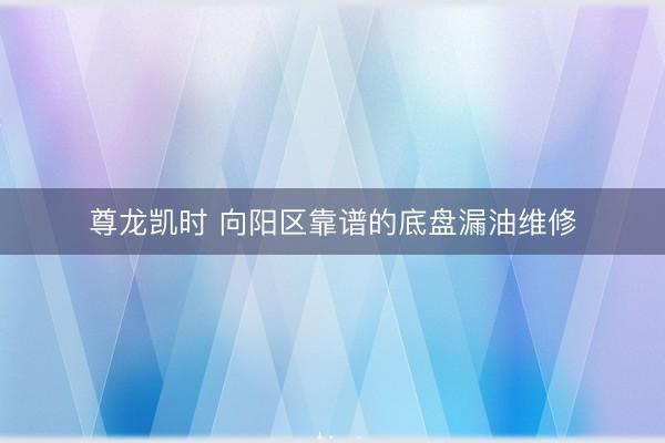 尊龙凯时 向阳区靠谱的底盘漏油维修