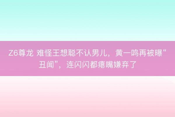 Z6尊龙 难怪王想聪不认男儿，黄一鸣再被曝“丑闻”，连闪闪都瘪嘴嫌弃了